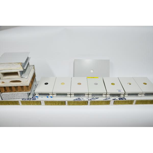 Customized Cleanroom Wall Panels  Construction Cleanroom Wall Systems 50mm 75mm