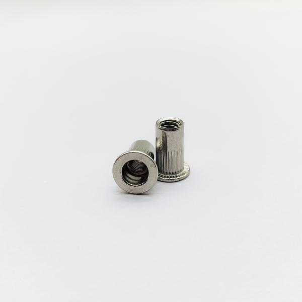Noix de rivets en acier inoxydable 304 M4 à M8 pour panneaux minces
