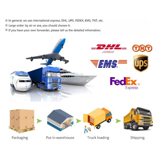 Случай BPA Pacifier силикона качества еды свободный для подарка держателя мешка хранения pacifier младенцев Newborn