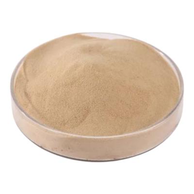 Naturel sans additifs poudre d' acides aminés entièrement soluble dans l' eau