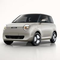 Pure Electric Lumin ChangAn EV Cars 2022 155km Qingtian Edition
