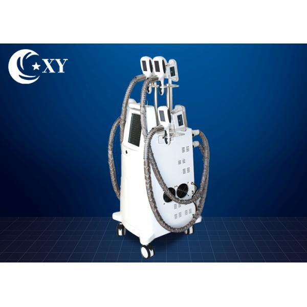 4 Treatment Heads Cryolipolysis Slimming Machine 220V / 110V For Beauty Salon