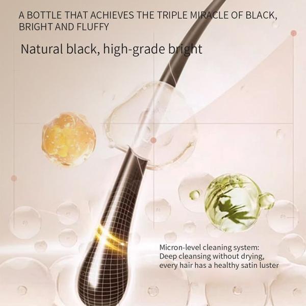 Lingzhi Platycladus Orientalis Extract Anti Hair Loss Shampoo For Dandruff