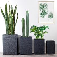 O plantador do potenciômetro do MGO dos plantadores de Fiberclay dos potenciômetros de flor de Clay Planters Square Planters Clay ajustou plantadores do jardim