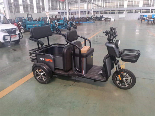 D18 Travel Leisure Electric Tricycle Three Wheel Electric Bicycles Electric Tricycle For 2 Adults