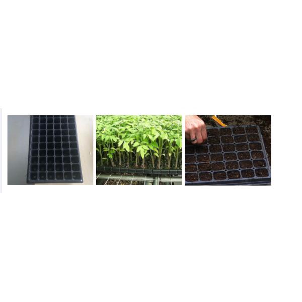 wholesale hydroponic seed propagation plastic growing tray