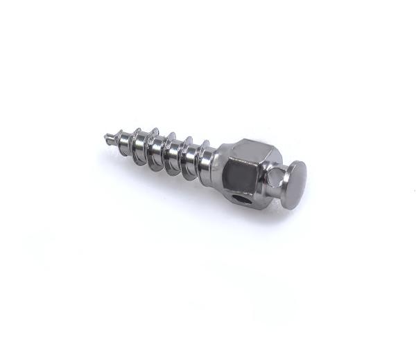 Titanium Alloy Dental Orthodontic Mini Screws 1.6x6 1.6x8 1.6x10 1.6x12 Size