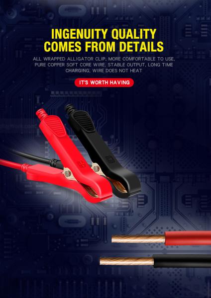 60V 8A 7 Segment Intelligent Automatic Car Battery Charger