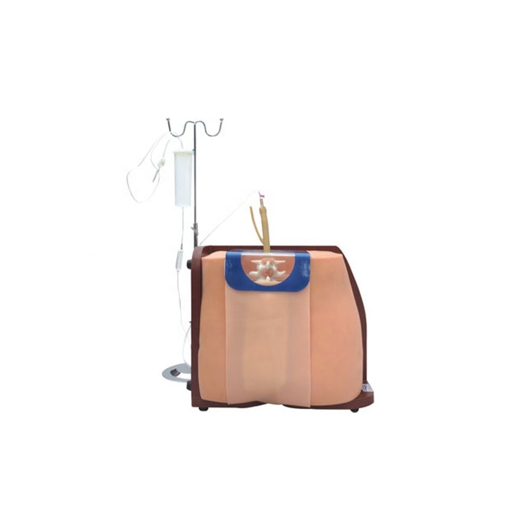 Versatile Spinal Vertebral Puncture Training Simulator for Medical Professionals