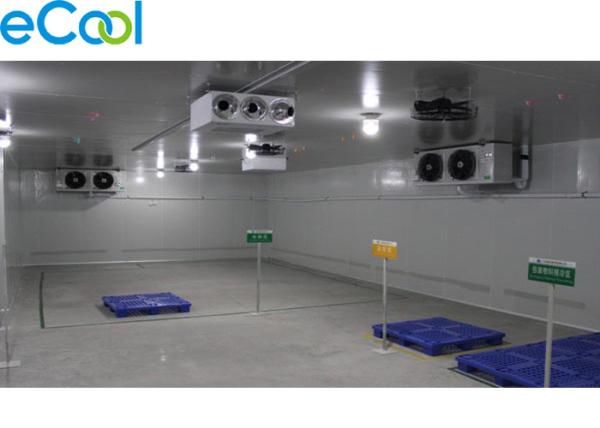 Super Low Temperature Frozen Food Cold Warehouse For Tuna Storage