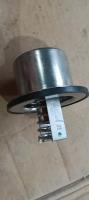 pièces de moteur diesel ensemble de thermostat de contrôleur de température cummins 4318947 thermostat