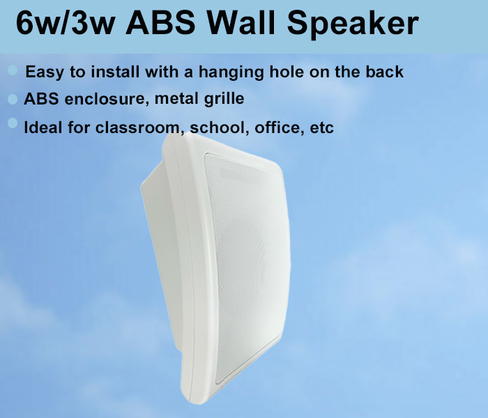 6W 3W 6 Inch Woofer Speaker Dual Cone Pa Speaker Wall Mount