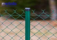 Recinto de enlace de cadena revestido con PVC Recinto de cercas de jardín Recinto de parques