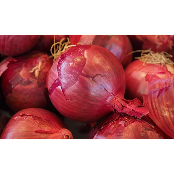 2023 new crop of brand fresh onions red and yellow white onion fresh vegetables in China Chinese onion fresh for sale