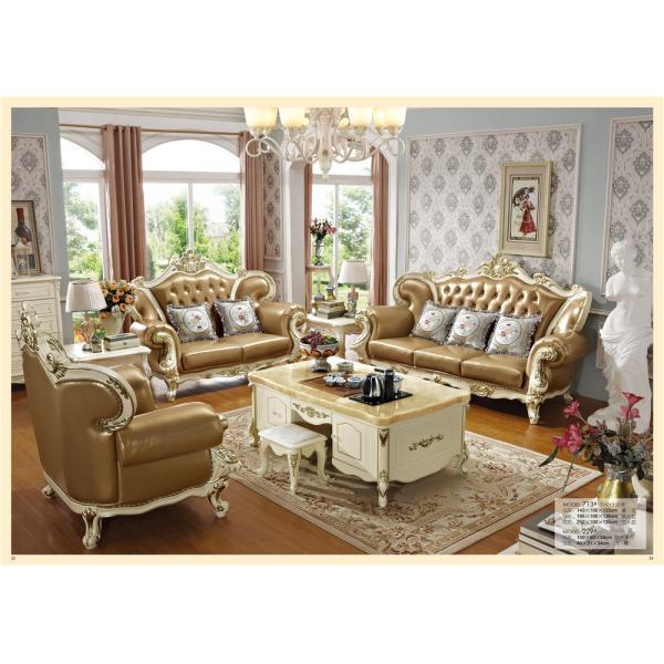 Leather Design Living Room Funiture Sofa Home