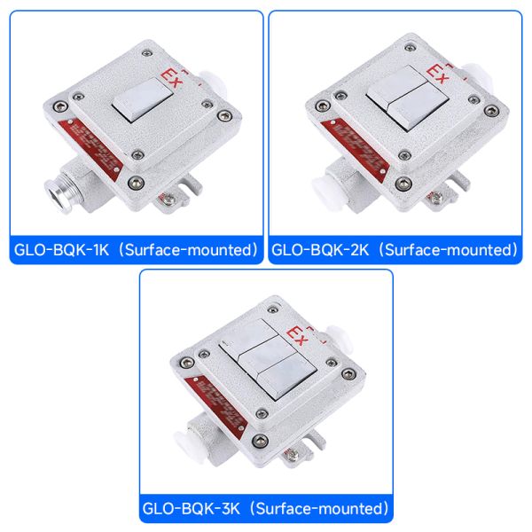 Flameproof Type Explosion-proof Wall Switch Surface-mounted Explosion-proof, Dust-proof and Water-resistant