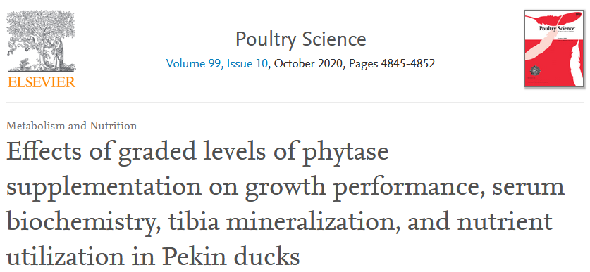 Phytase 5000u/G 10000ftu Powder