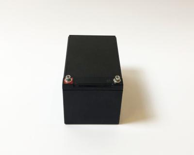 O ODM 12Ah recarregável fosfata a bateria Bluetooth de 12V LiFePO4 opcional