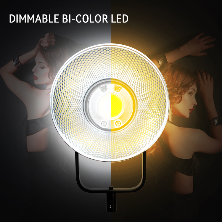 Мощные 200w Cob видео студийные огни с Softbox 6500k Led фотосветка для аксессуаров камеры