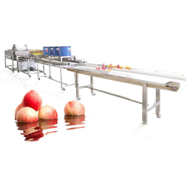 Hot selling China Manufactory Small Scale Fruit And Vegetable Washer by Huafood