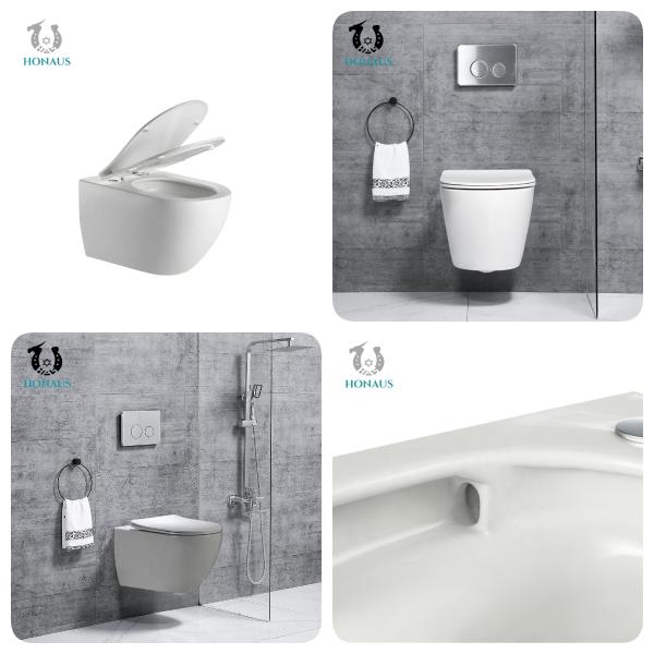 ROHS European Wall Mounted Toilet Bowl