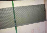 Malla de acero inoxidable AISI de la pantalla de seguridad de SS304 SS316