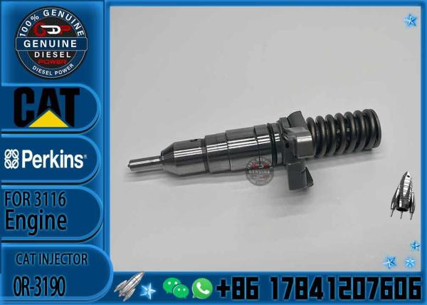 fuel injector 0R-8471 0R-3002 0R-3190 0R-3190 4P-2995 127-8213 0R-8475 0R-8483 injector for Caterpillar 3116