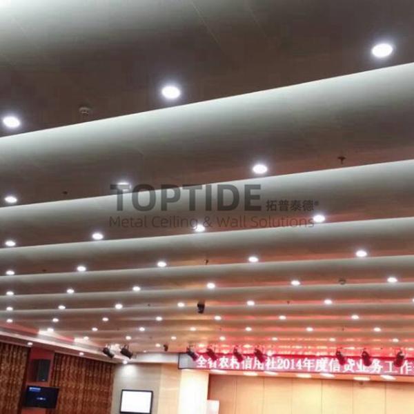 Natatorium Interior Decorative Panel Curved Wall And Ceiling Covering Suspended Metal