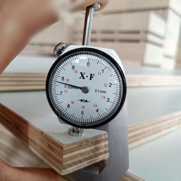 КАРБЮРАТОР аттестовал переклейку меламина зерна 18mm деревянную для неофициальных советников президента