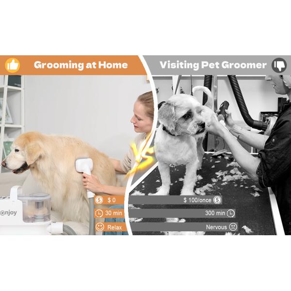 Customizable 300W Pet Grooming Vacuum Tool for Hair Shedding Trimmer Comb Accessories