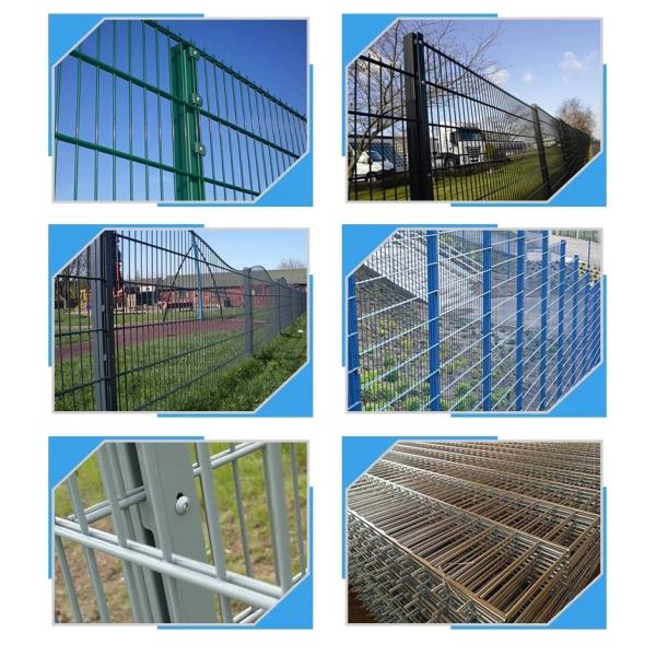 Low Carbon Steel Twin Wire Fence , Vinyl Coated Wire Fence 50 X 200 mm
