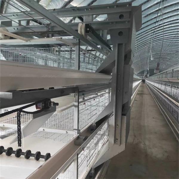 jaula de batería automática de Suráfrica de la jaula de las aves de corral del pollo de la capa de 4Tiers 160Birds Uzbekistán