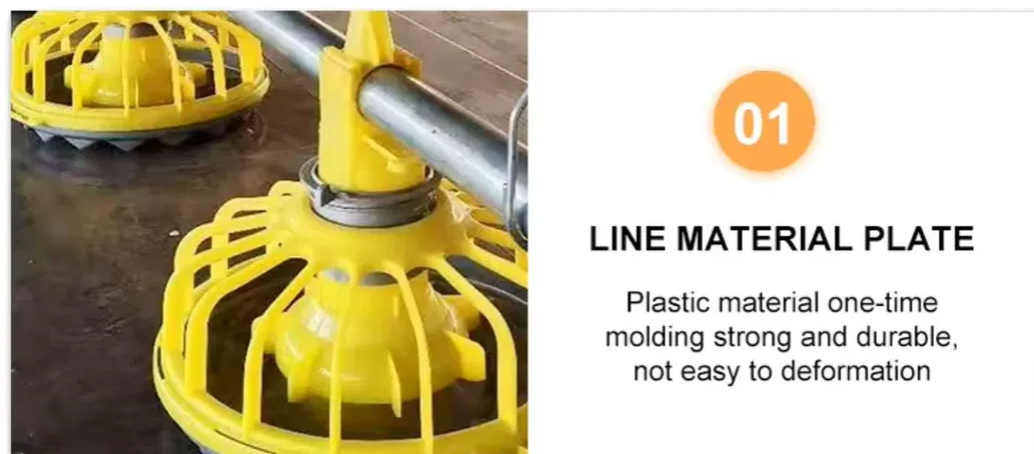 Fully Automatic Poultry Feeding System with Corrosion Resistant High Efficiency Chicken House Feeding Equipment