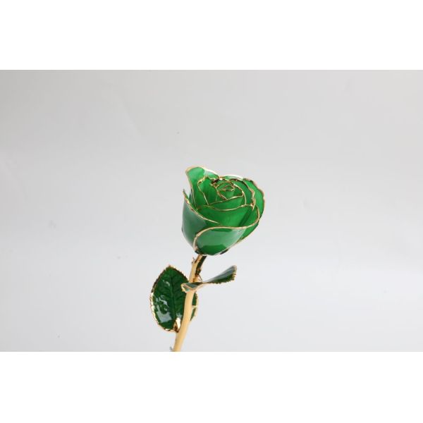 Gold Plated  Rose Preserved Fresh Flower  Wholesale Preserved Rose Manufacture Directly Supply for Christmas Valentine Day Gift