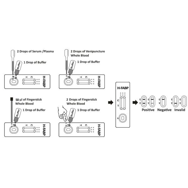 Portrable H FABP Rapid Test Blood Specimen 4mm Strip 5 Mins Reading Time