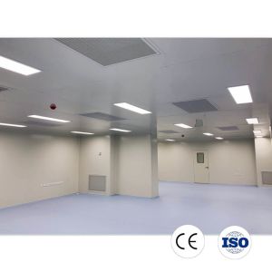 Elite Pre-Engineered Dust-Free Facility with Airtight Structural Sealing for General High-End Manufacturing