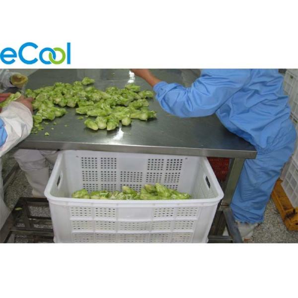 Multi Function Vegetables Processing Cold Storage For Freezing Dry Product Line