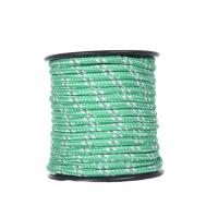 El sólido trenzó la línea de nylon de Guy Ropes Reflective Guy los 50m que acampaba para al aire libre