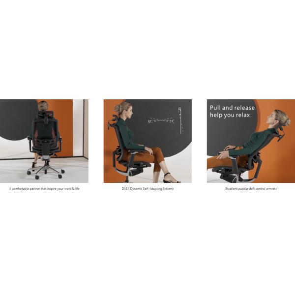 Premium Ergonomic Office Chair Ergo Swivel Staff Mesh Lumbar Support Esports Gaming