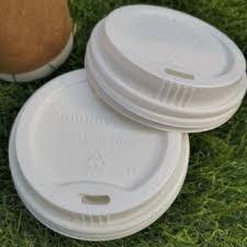 Biodegradable Plastic Sheet Lid Pla Cover Flat Lids