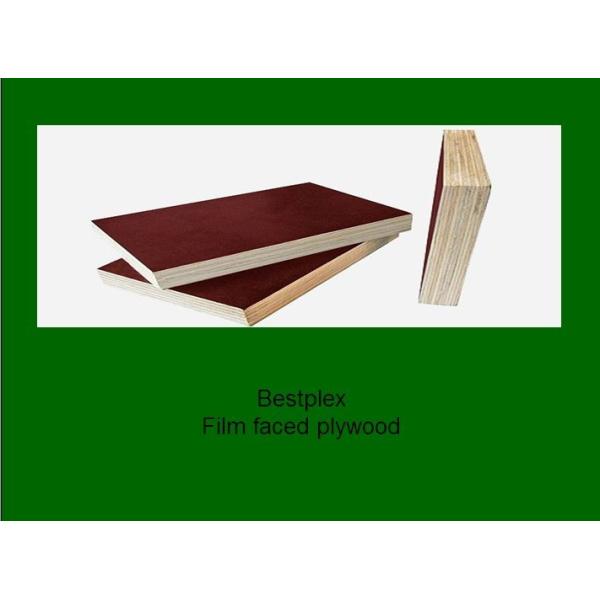 hardwood formwork Film faced plywood