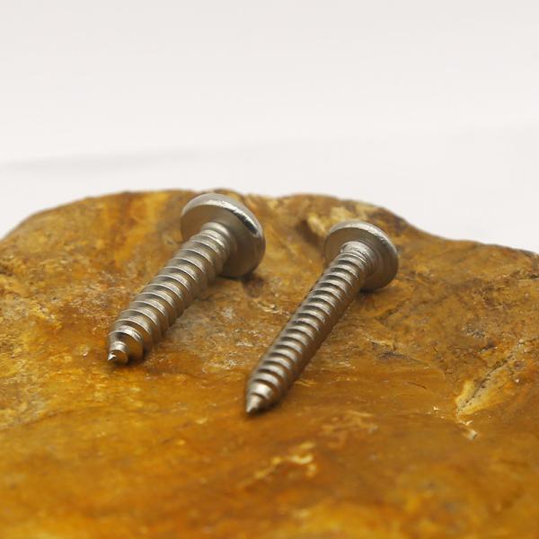 Stainless steel self-tapping screws customized