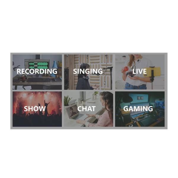797Audio D501 Hot sale U-type Bop Net Live Streaming Broadcast Microphone Bop Cover Usb Microphone Sponge Set