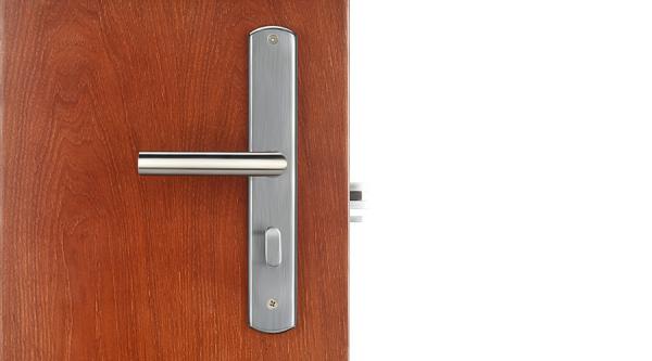 Murray Series Hotel Door Lock - Zinic Alloy RFID hotel card lock