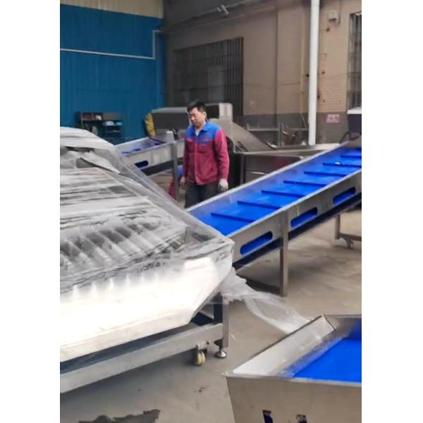 Large Capacity 5-10T/H Pelagic Fish Grader For Automatic Fish Grading Line