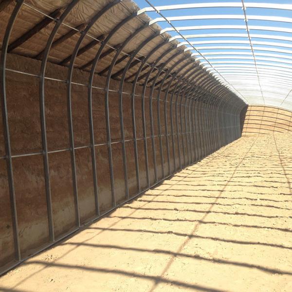 Estufas solares agrícolas eficientemente concebidas para o cultivo de flores e vegetais