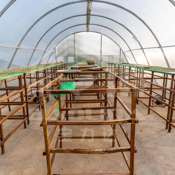 Baolida Solar Dryer Polytunnel Greenhouse PC Board For Vegetables Fruit