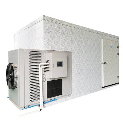 1000Kg Heat Pump Dry Food Oven Dryer Machine Industrial Mango Tomato Drying