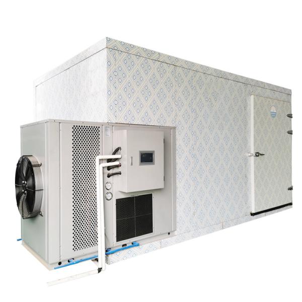 1000Kg Heat Pump Dry Food Oven Dryer Machine Industrial Mango Tomato Drying