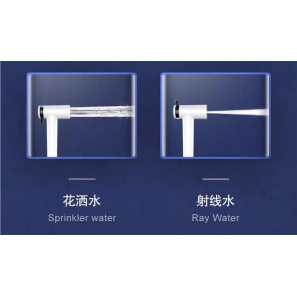 2 Function Adjustable Flow ABS Material Hand Spray Shower Bidet Staffa for Bathroom